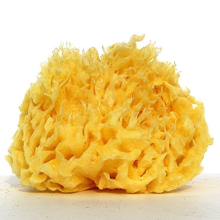 Kreikan luonnollinen sieni